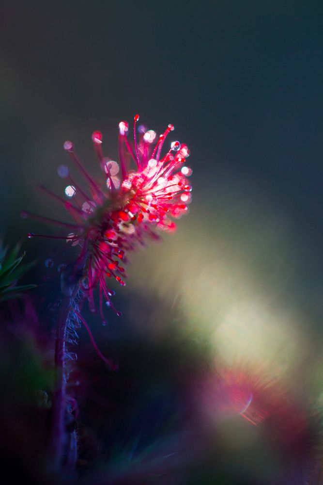 Фотография автора Helena