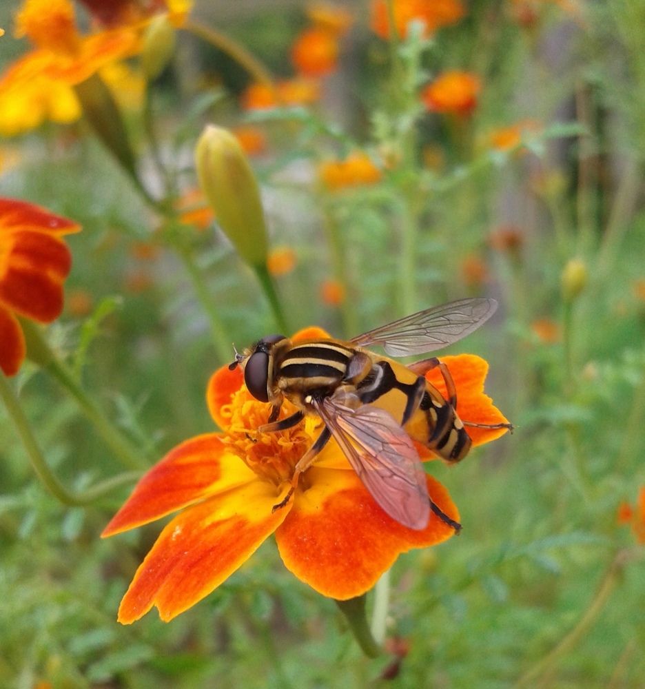 А что у нас здесь вкусненького?