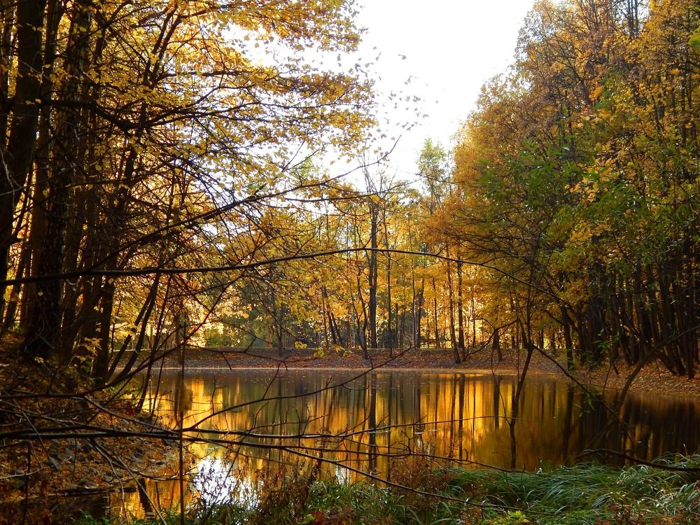 Photograph by Анастасия