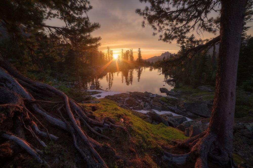 Корни саянских гор