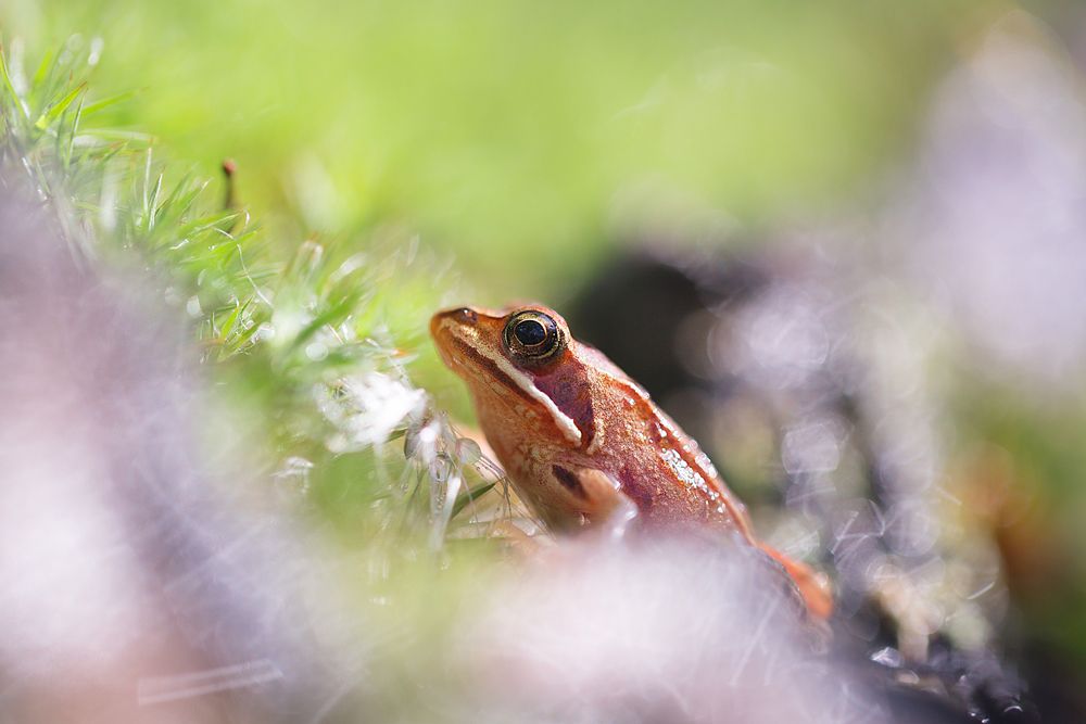 Фотография автора Helena