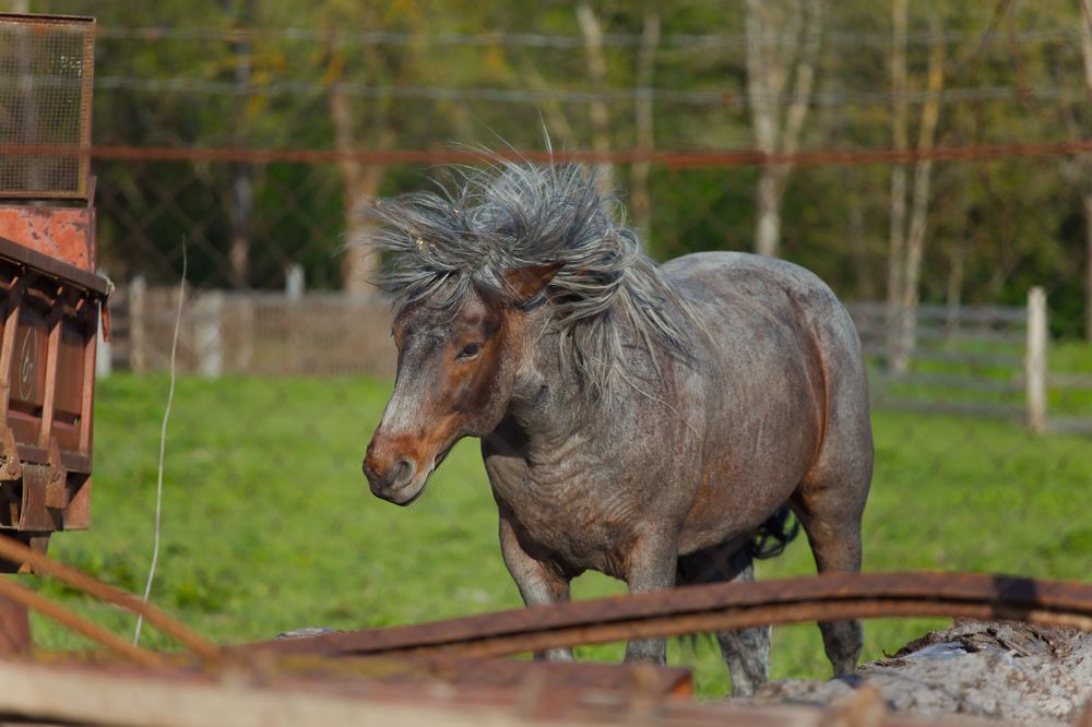 Photograph by Екатерина