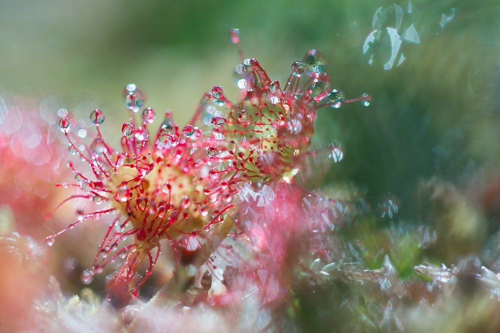 Фотография автора Helena