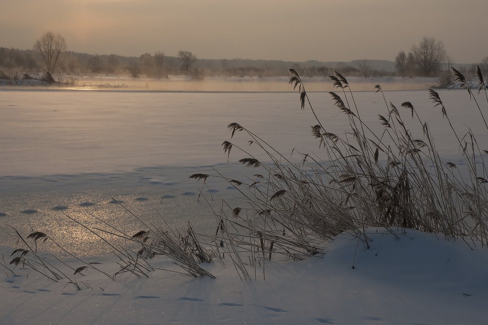 Хмурое утро