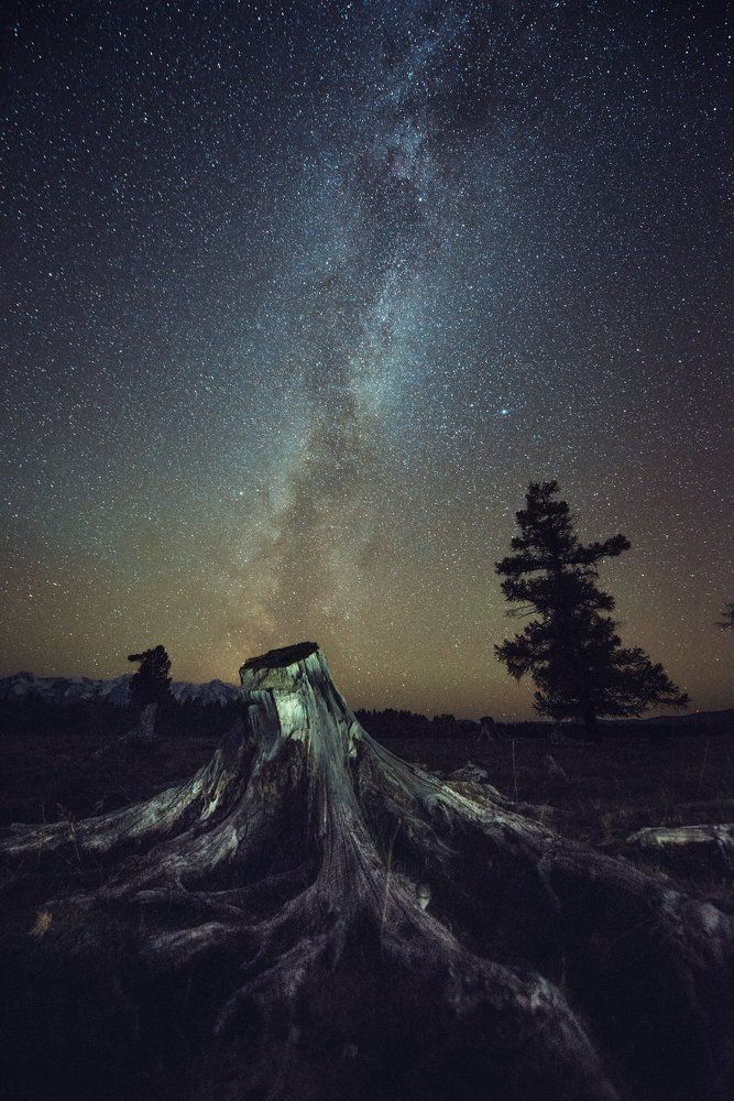 Ночь в степи