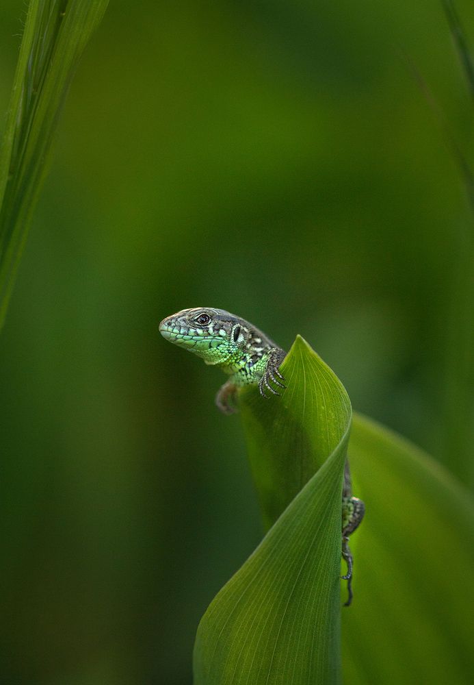 Photograph by Оксана