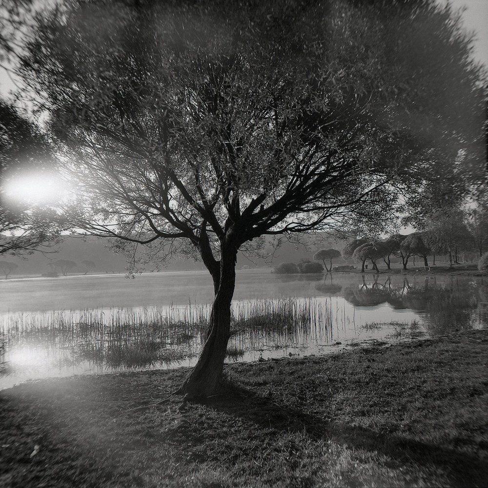 Воскресное утро