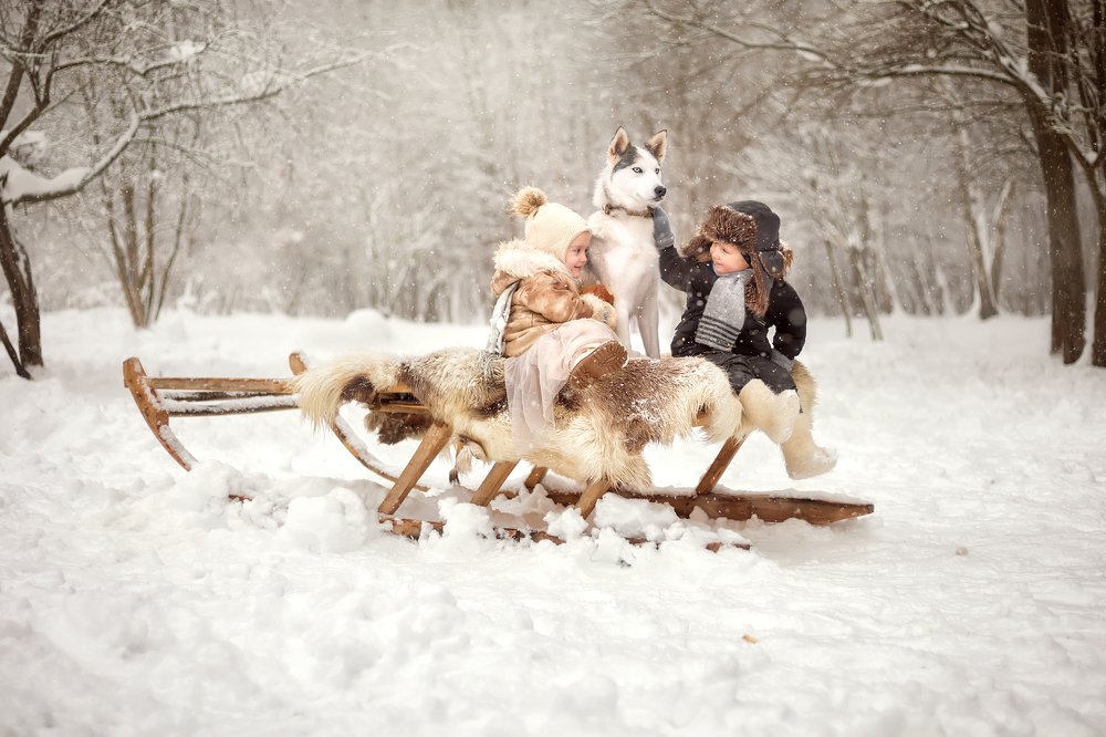 Two in a sleigh not counting a dog