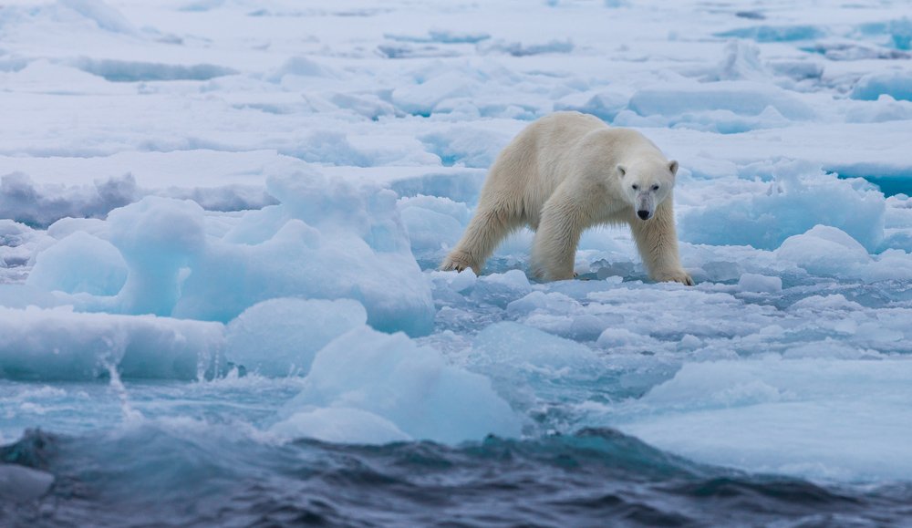 Земля уходит из под ног