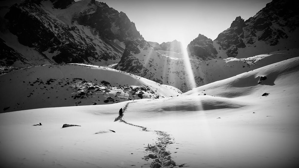 Photograph by Ардак Исингарина