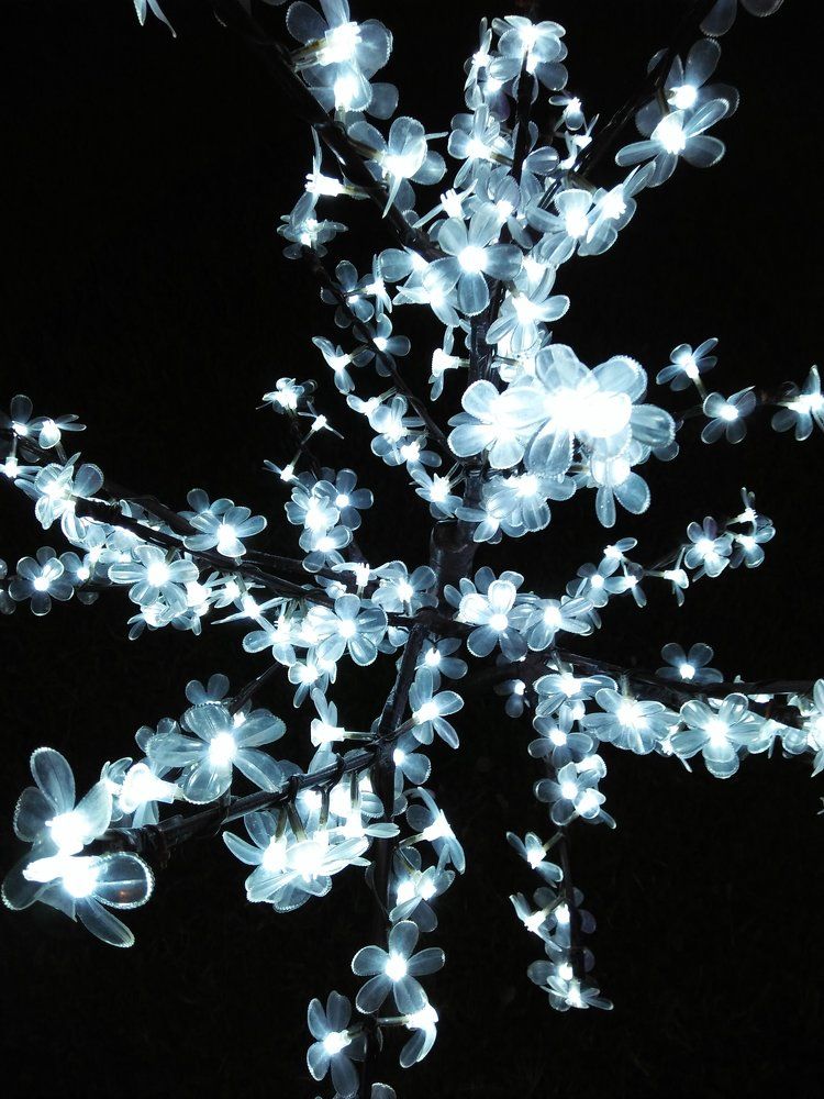 The luminance of truth