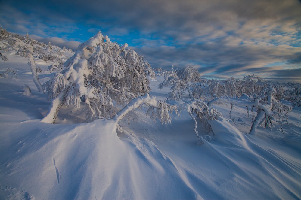 Сила ветра!