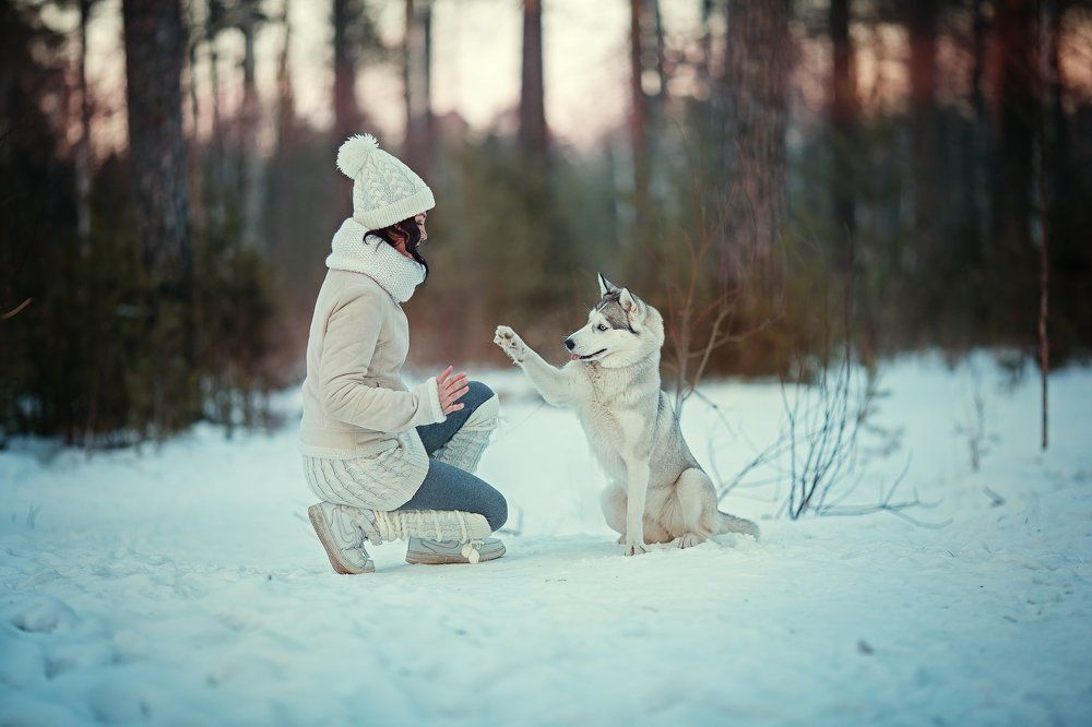 Photograph by Александра Дуке