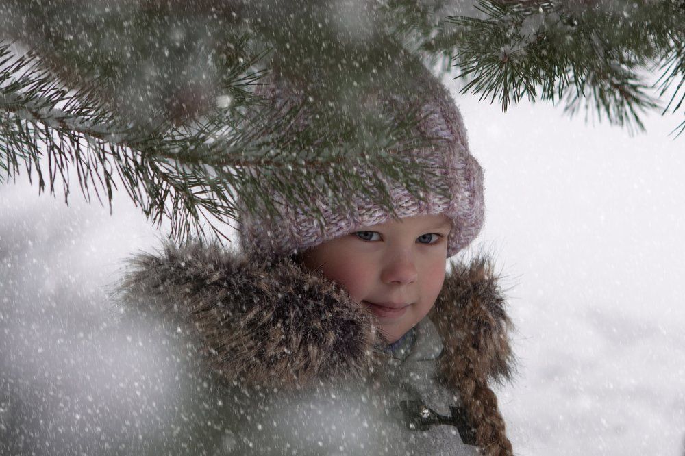 Зимний портрет