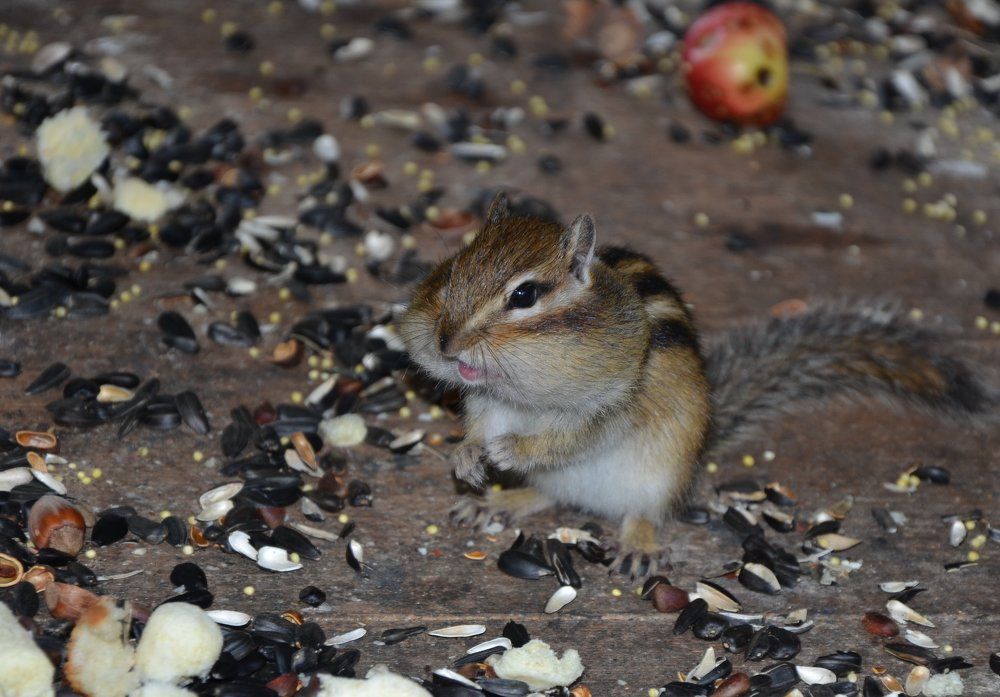 Делаем запасы