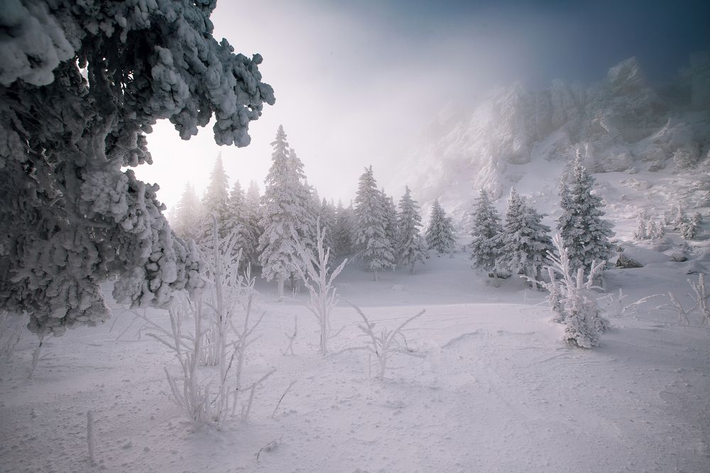 Утро у Откликного гребня