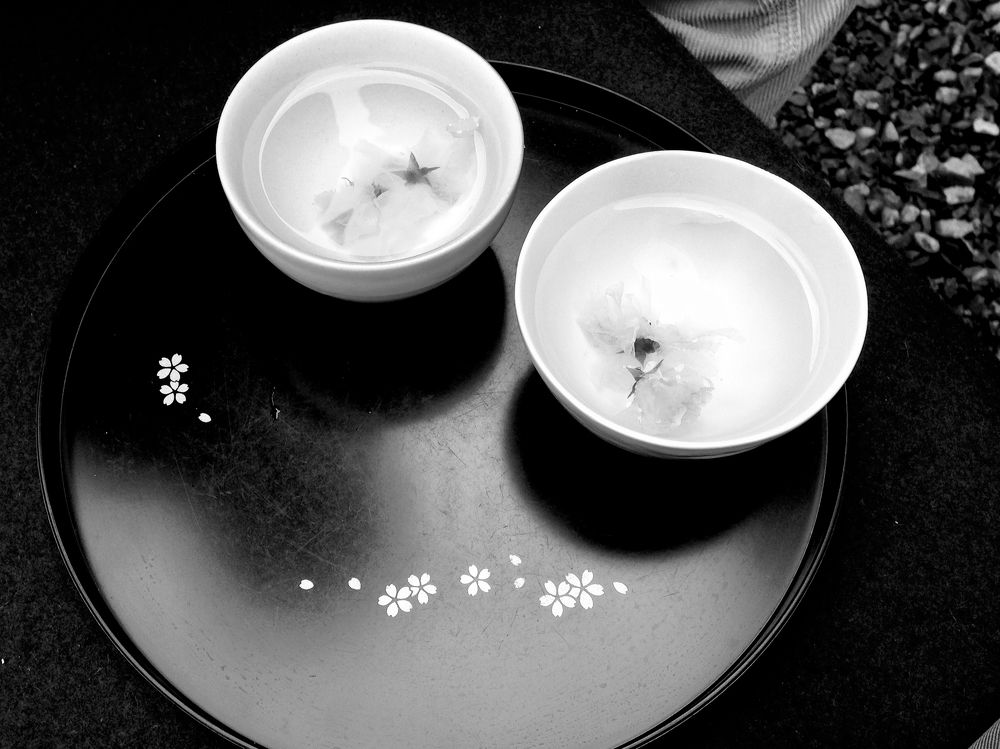 cherry blossom tea (sakura cha)