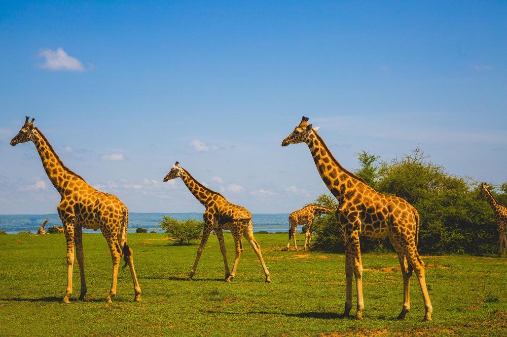 Без пяти минут рай