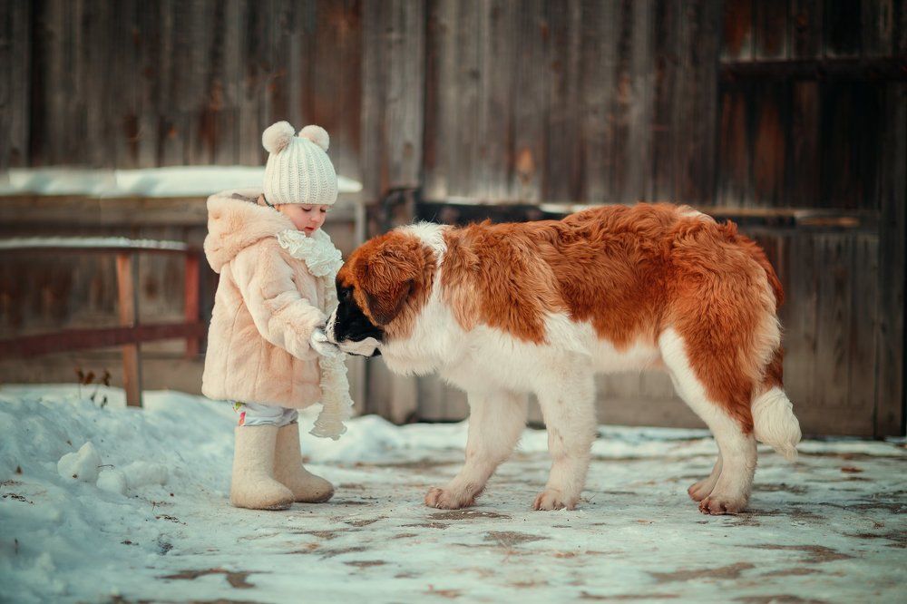 Photograph by Александра Дуке