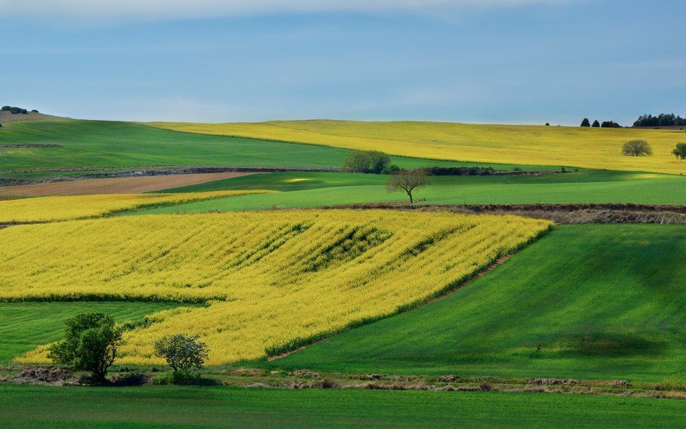Краски Португалии