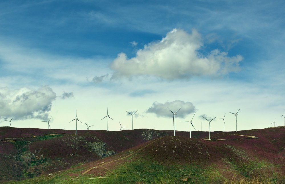 Сиреневые холмы Саламанки