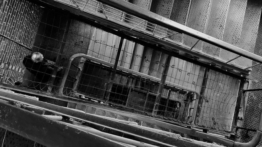 Фотография автора Ермаков Павел