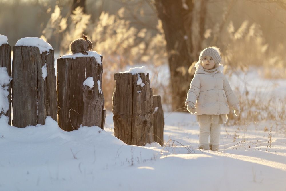 Photograph by Алла Семдянкина