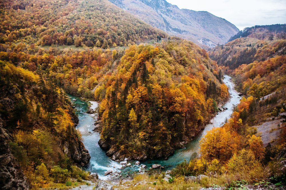 Все краски осени