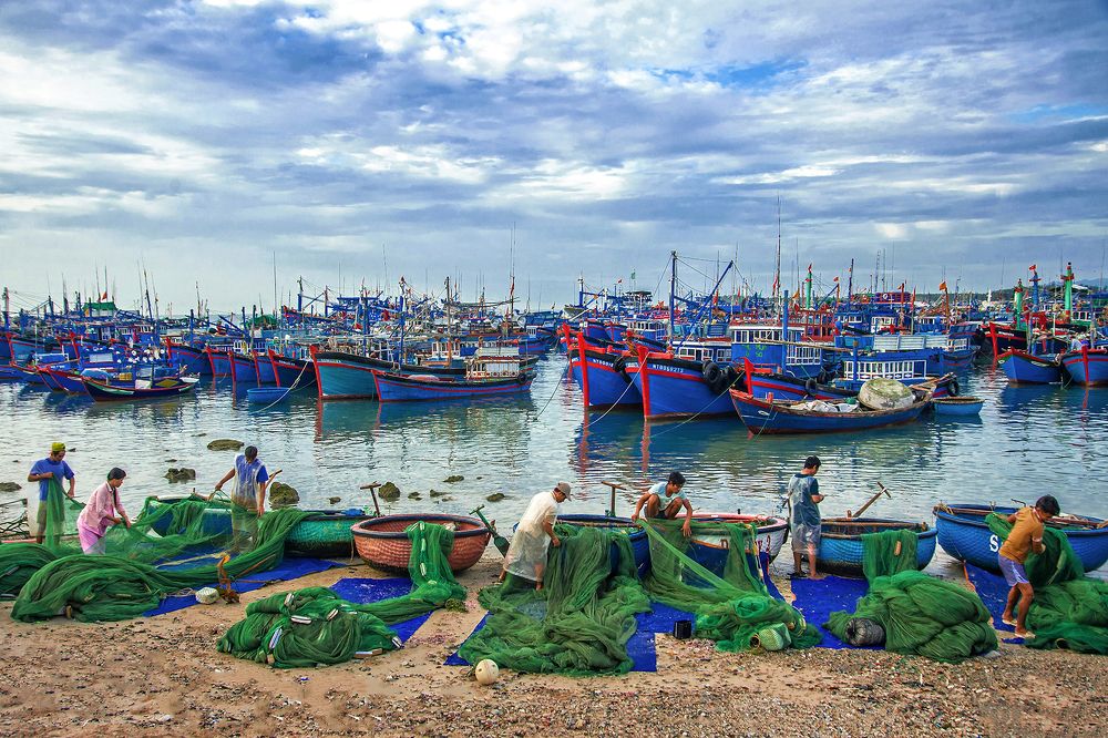 Làng nghề đánh bắt tôm giống