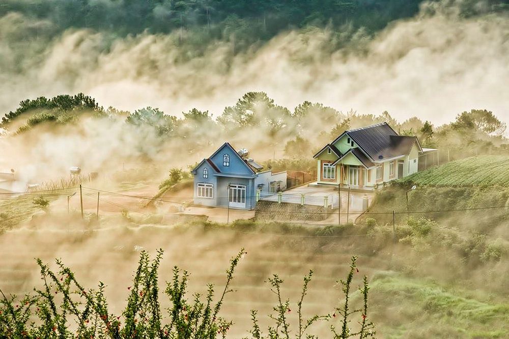 Đà Lạt trong sương