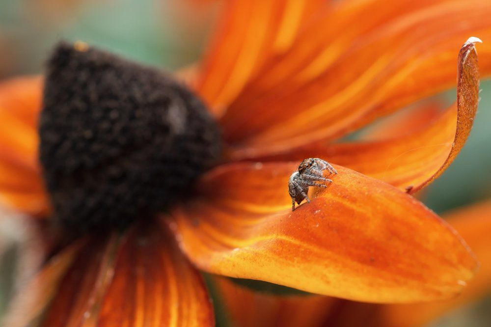 На гребне волны