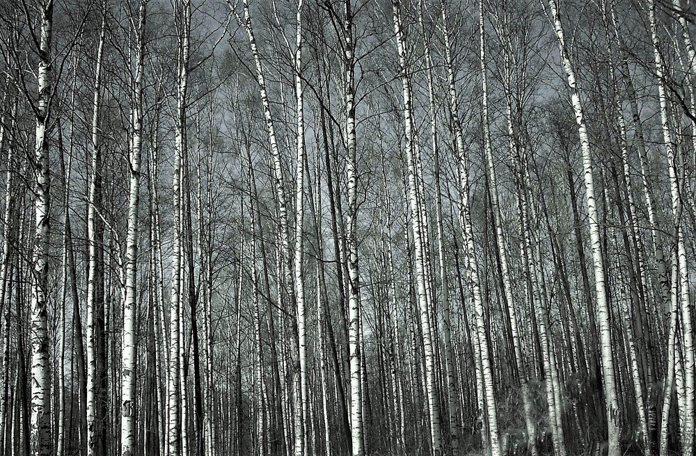 Ожидание Весны...