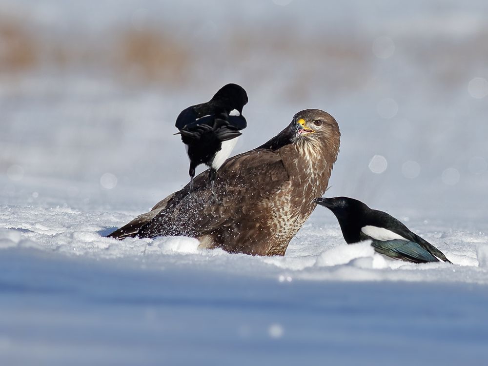 Убирайся отсюда!