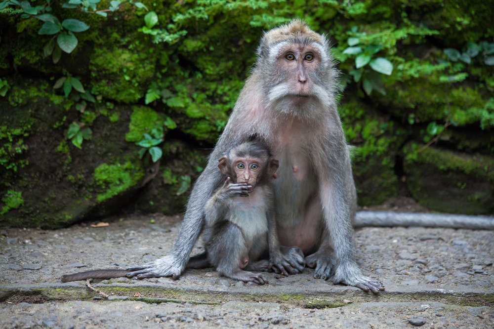 Мать и дитя