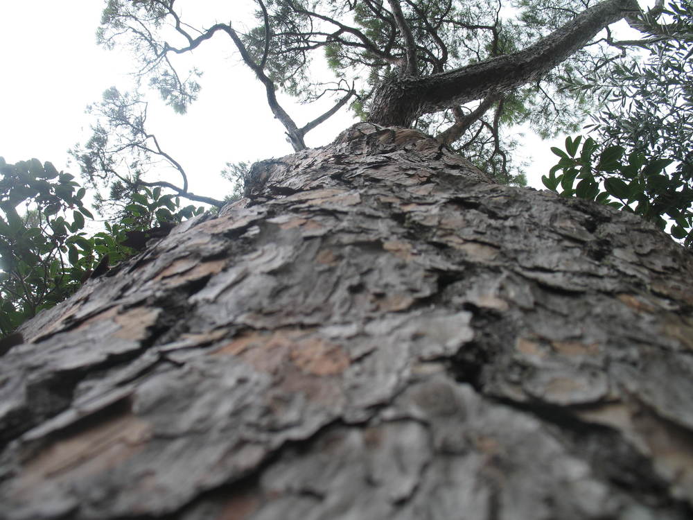 Photograph by Мария Глинская