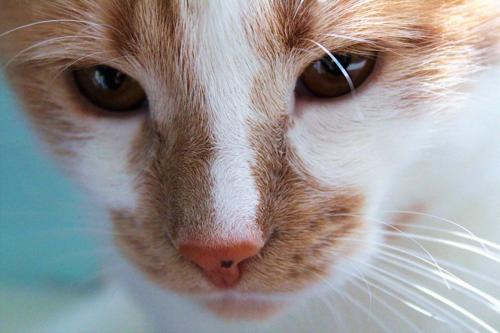 Photograph by Мария Глинская