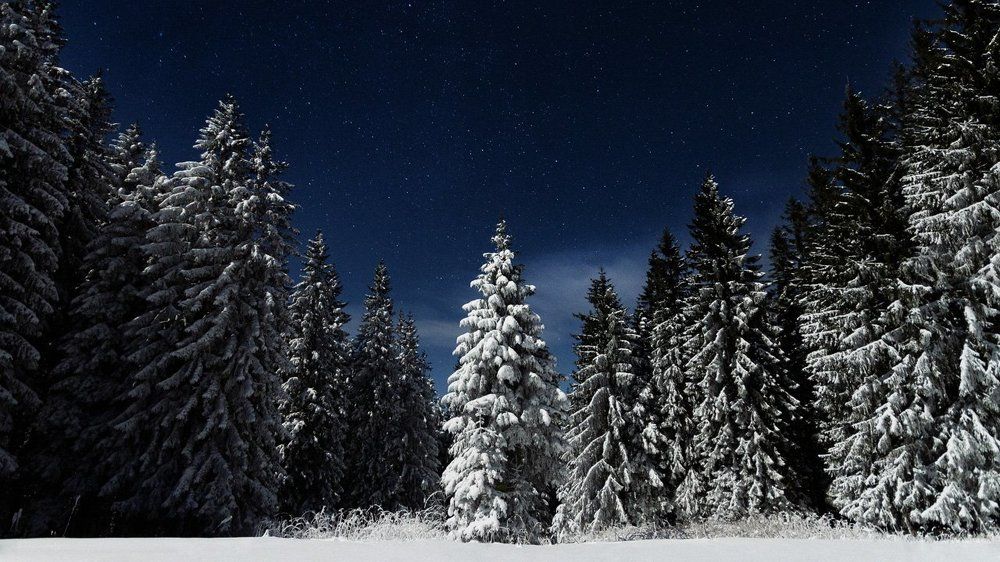 N48.630470°, E23.945178°