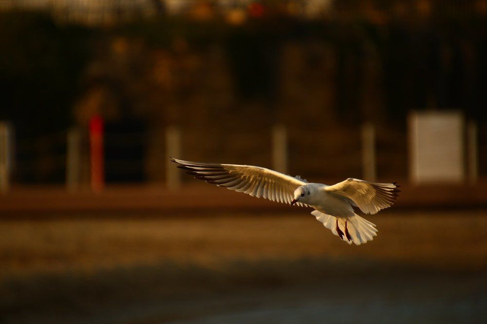 Photograph by Андрей