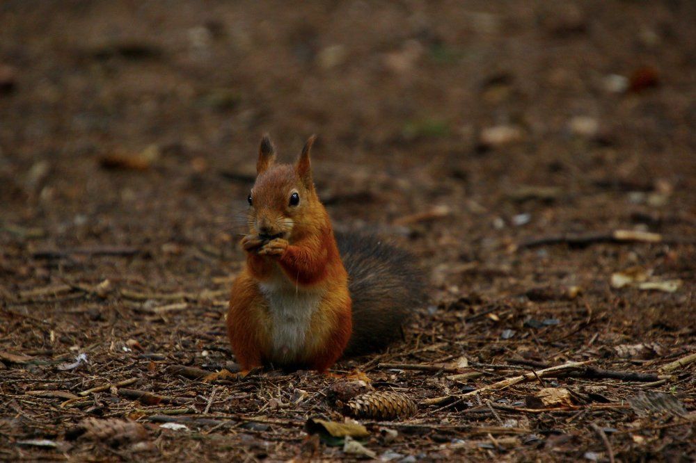 Photograph by Андрей