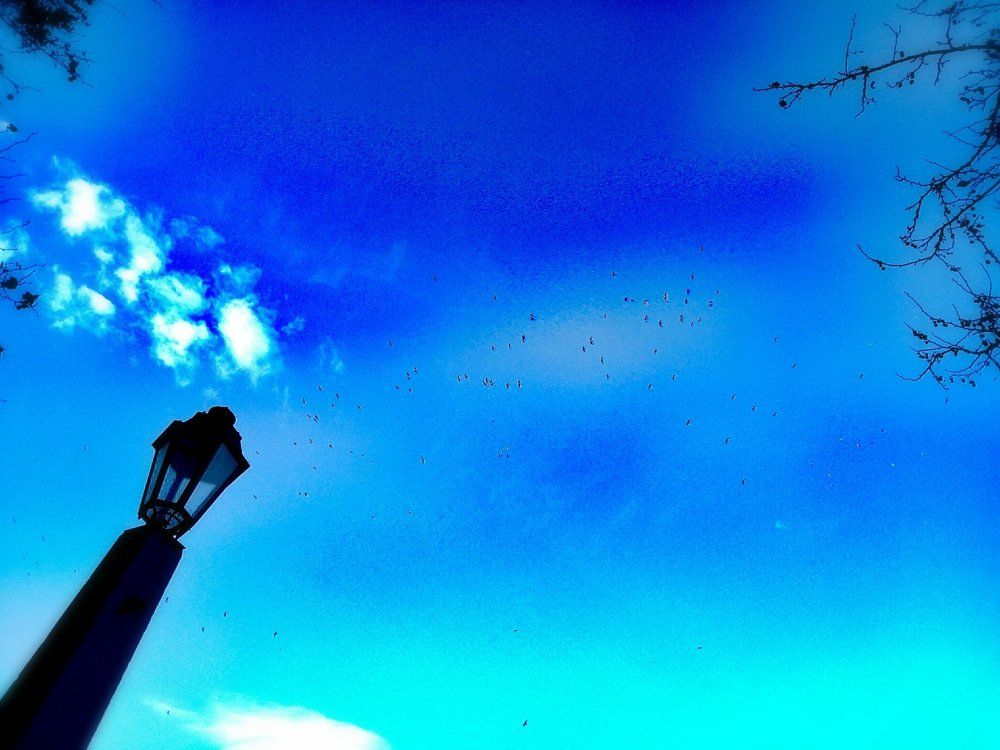 Фотография автора Olesya Kiknadze