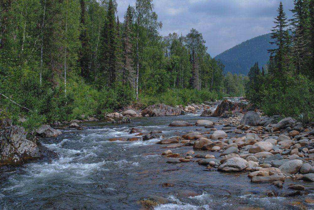 Photograph by Свиридов Александр
