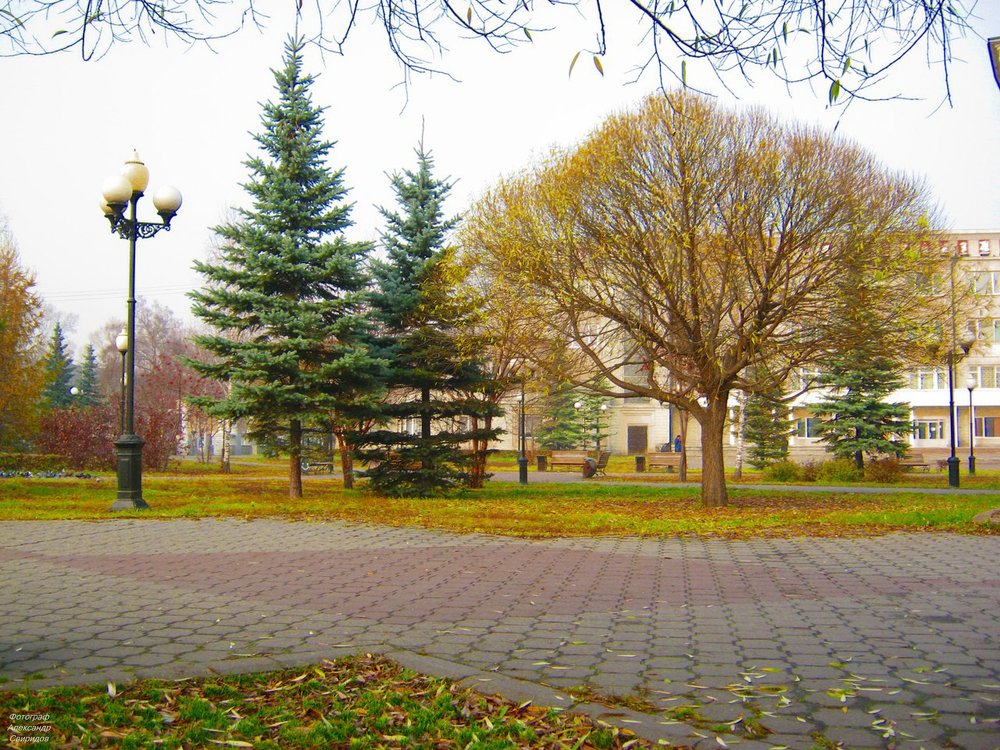 Photograph by Свиридов Александр
