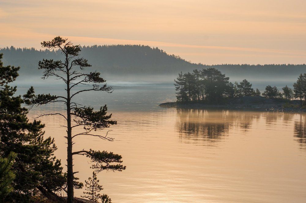 Золотистое карельское утро