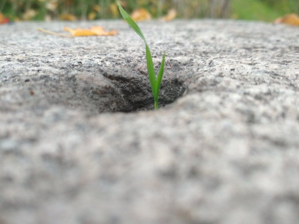 Photograph by Татьяна