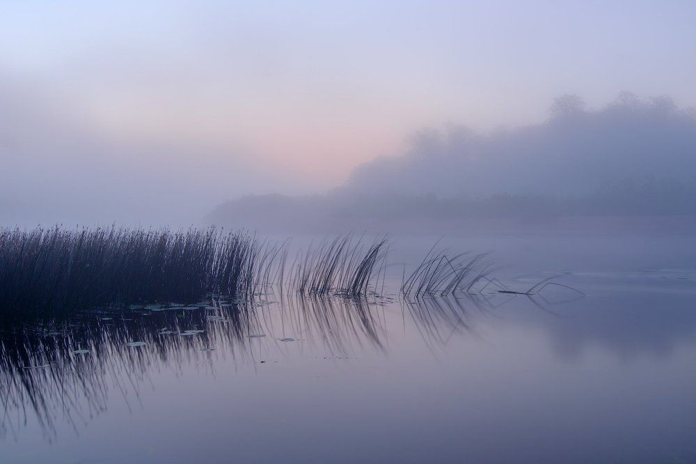 Предрассветные туманные сумерки на реке