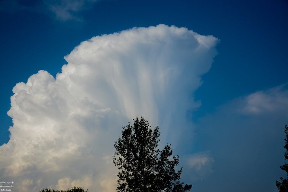 Photograph by Свиридов Александр