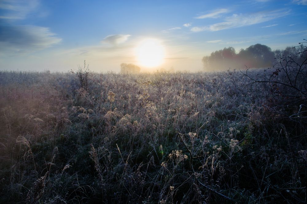 Иней вокруг