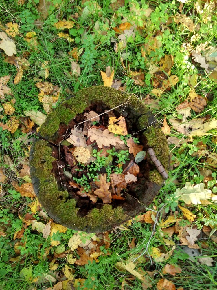 Photograph by Татьяна