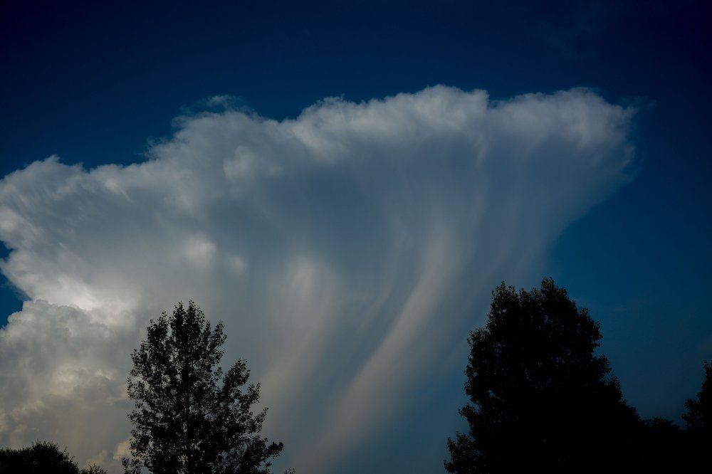 Photograph by Свиридов Александр