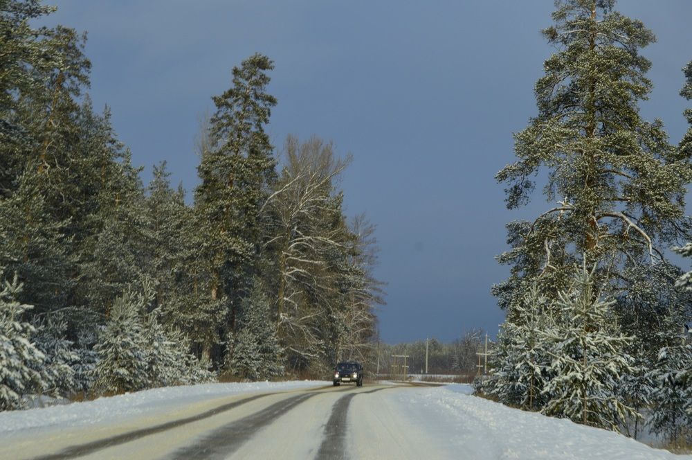 Дорога в сказку